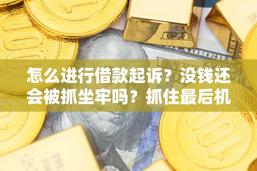 济南怎么进行借款起诉？没钱还会被抓坐牢吗？抓住最后机会！
