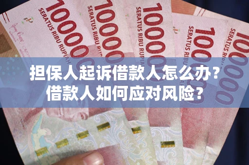 济南担保人起诉借款人怎么办？借款人如何应对风险？